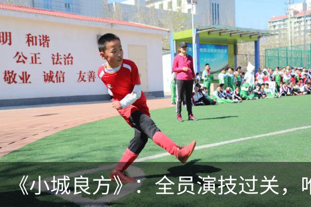 《小城良方》：全员演技过关，唯有一人是败笔，全程耷拉着脸！
